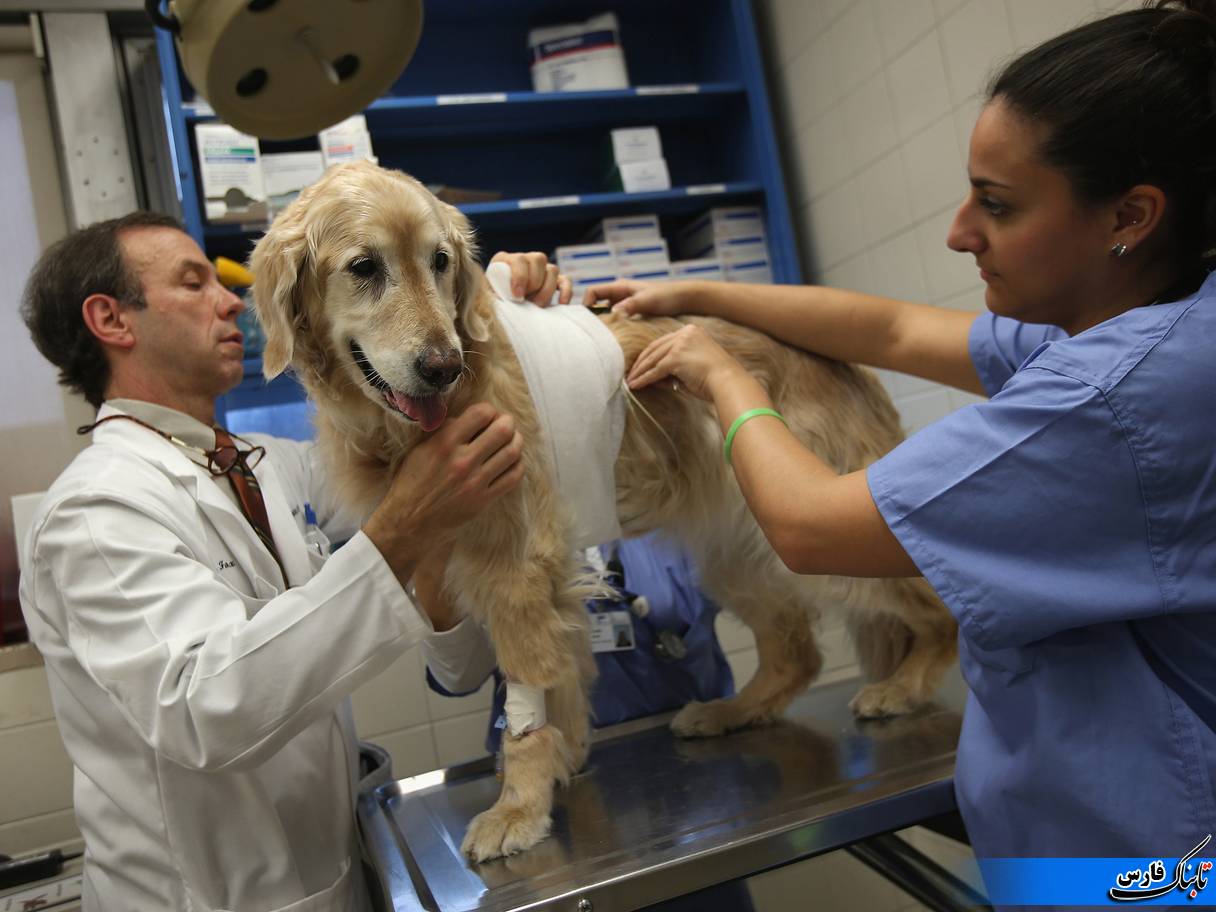 شغل هایی که سلامتی شما را تهدید می کند شغل هایی که سلامتی شما را تهدید می کند