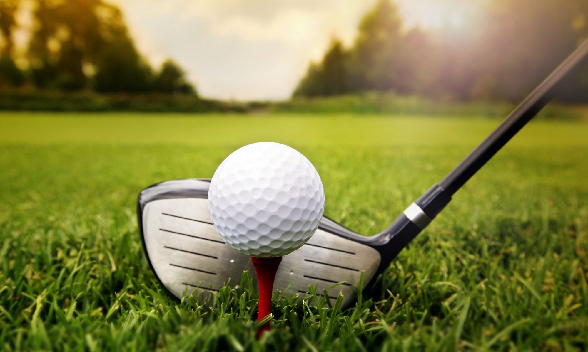 بانوی کرمانشاهی صاحب گردن آویز برنز مسابقات گلف کشور شد