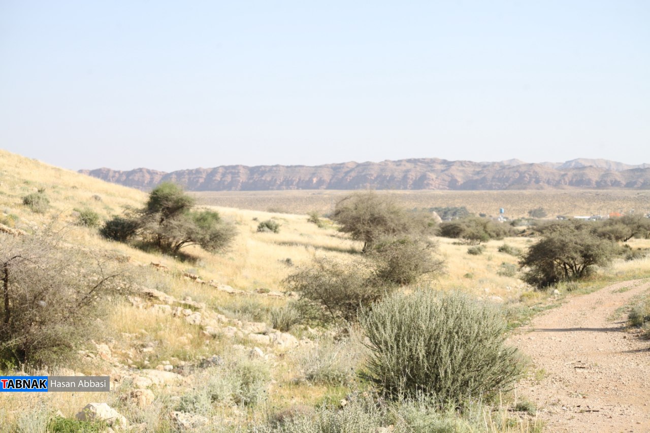 تنگ خلیل تنگ خلیل