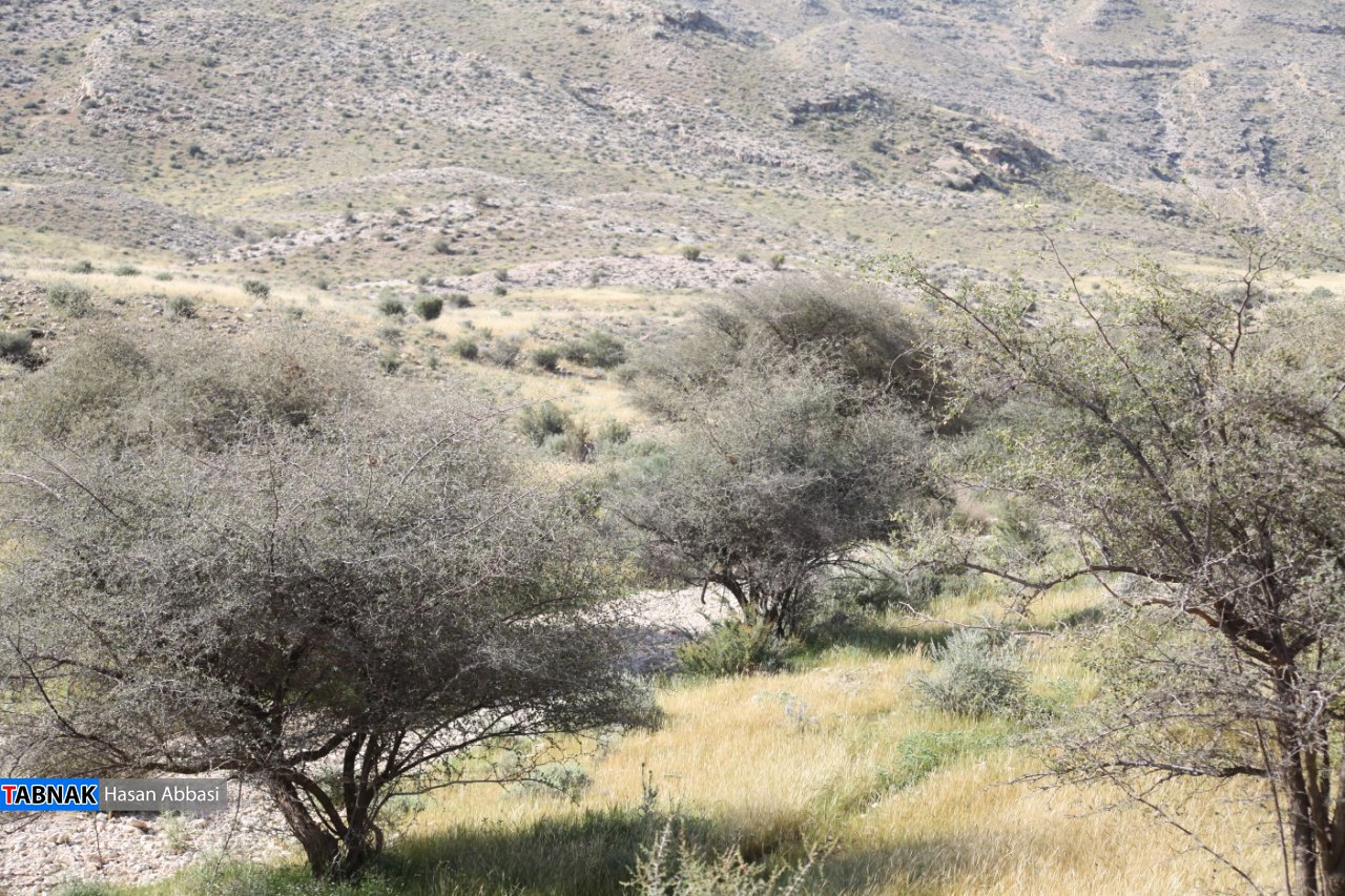 تنگ خلیل تنگ خلیل