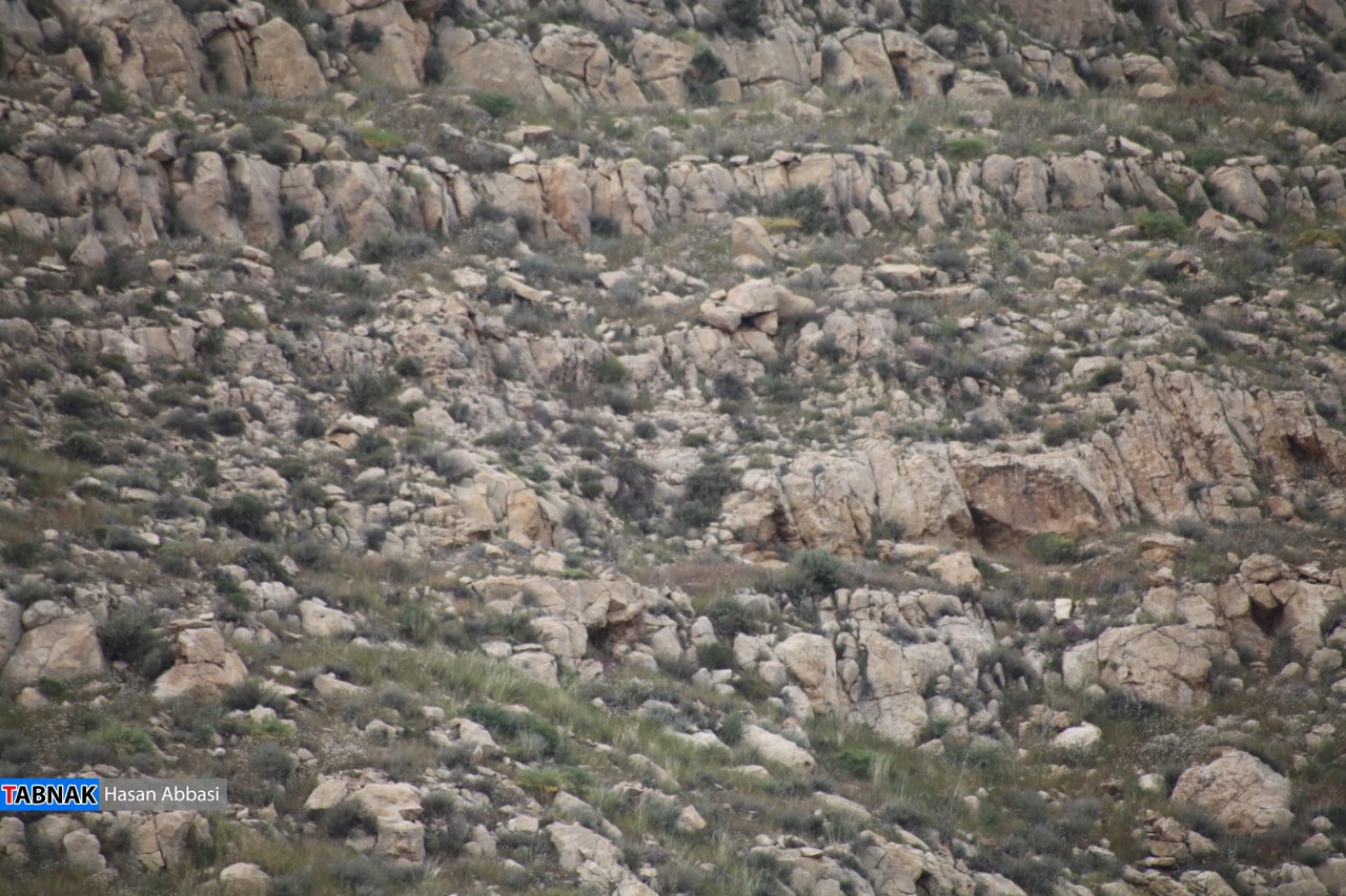 تنگ خلیل تنگ خلیل