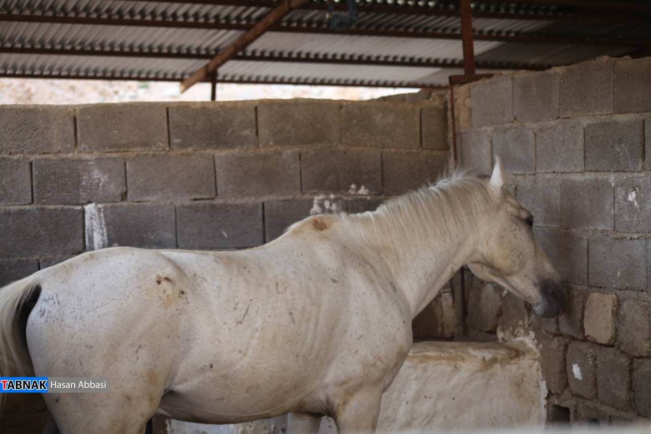 دره رهنو دره رهنو