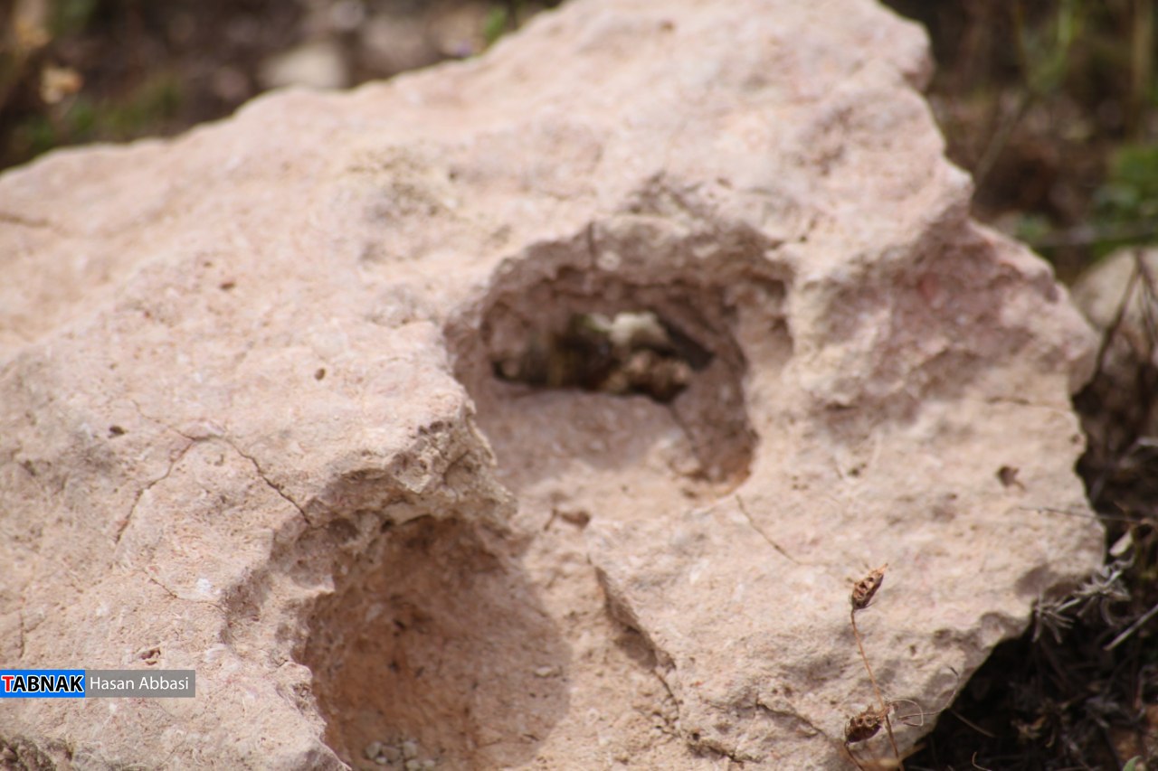 دره شاهی دره شاهی