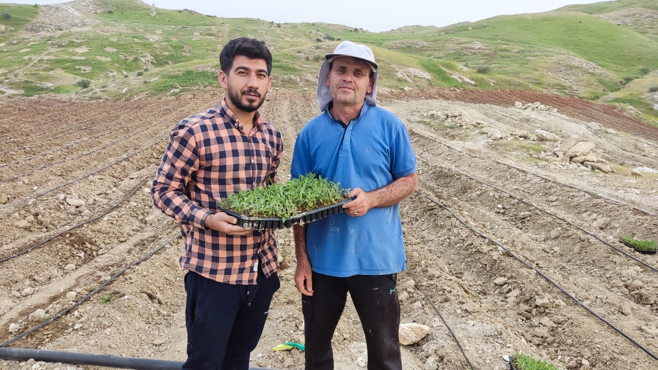 گیاهان دارویی نسخه ی اشتغالزایی بنیاد علوی در لنده+فیلم و تصویر گیاهان دارویی نسخه ی اشتغالزایی بنیاد علوی در لنده+فیلم و تصویر