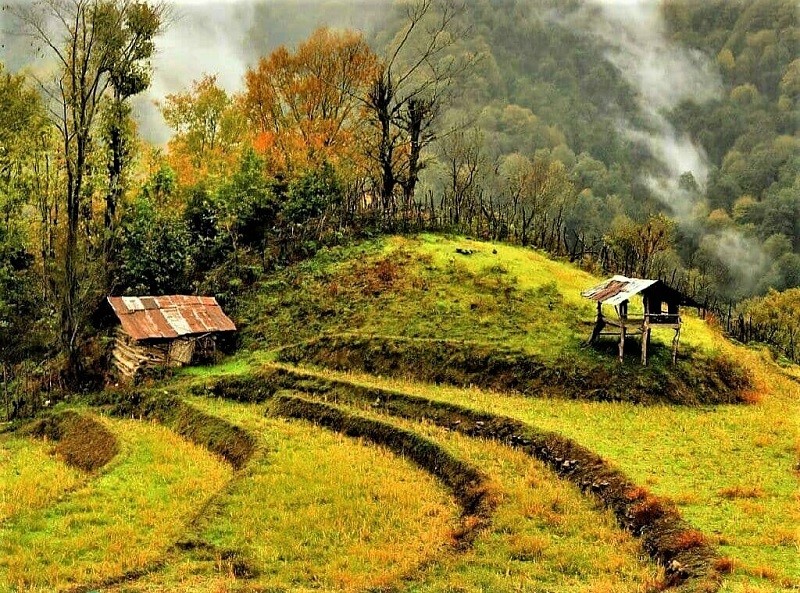 بهترین مقصد کجاست؛ لنگرود، مهاباد یا گیلان؟ بهترین مقصد کجاست؛ لنگرود، مهاباد یا گیلان؟