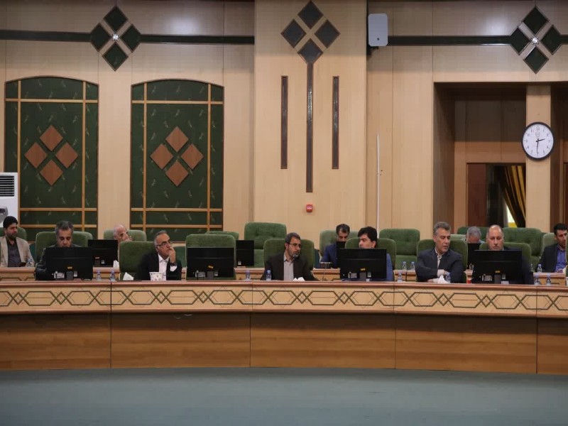 ٣٠ درصد از سهمیه طرح های اشتغالزایی مشاغل خانگی کرمانشاه محقق شد