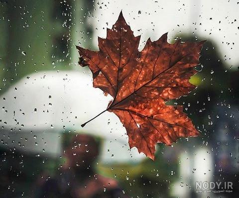 هوای کرمانشاه گرم می شود/رگبارهای پراکنده پاییزی در راه است