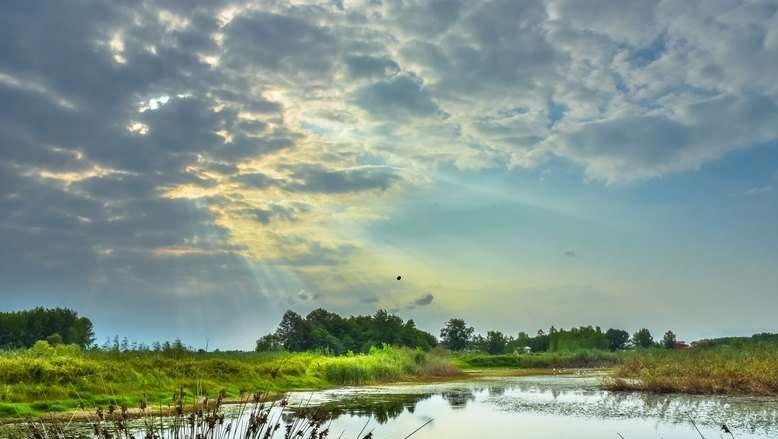 تغییر رویه در مدیریت منابع آب، تنها راه نجات پریشان و کافتر