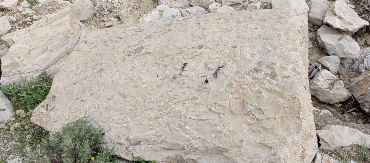 کاشف معدن گمشده هخامنشی در آبدانان چه کسی است؟