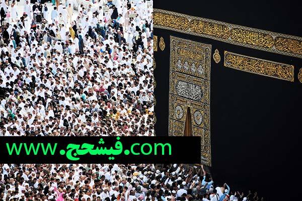 فیش حج راهنمای کامل خریدفروش و انتقال فیش حج 1404/در تنظیم فیش حج راهنمای کامل خریدفروش و انتقال فیش حج 1404/در تنظیم