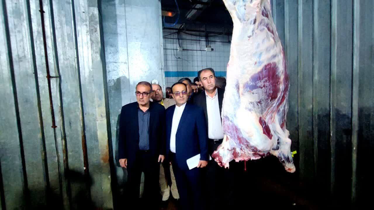 کهگیلویه و بویراحمد در تامین گوشت قرمز خودکفا میشود + فیلم