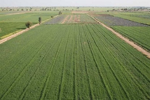 صیانت از اراضی کشاورزی در گرو همکاری دستگاه‌ها / طرح‌های فاقد مجوز محیط زیست متوقف می‌شوند