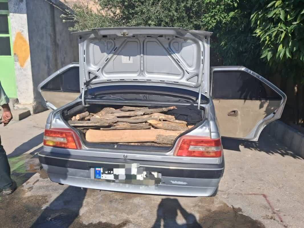 کشف و توقیف ۶/۵ تن چوب و زغال قاچاق در یک هفته