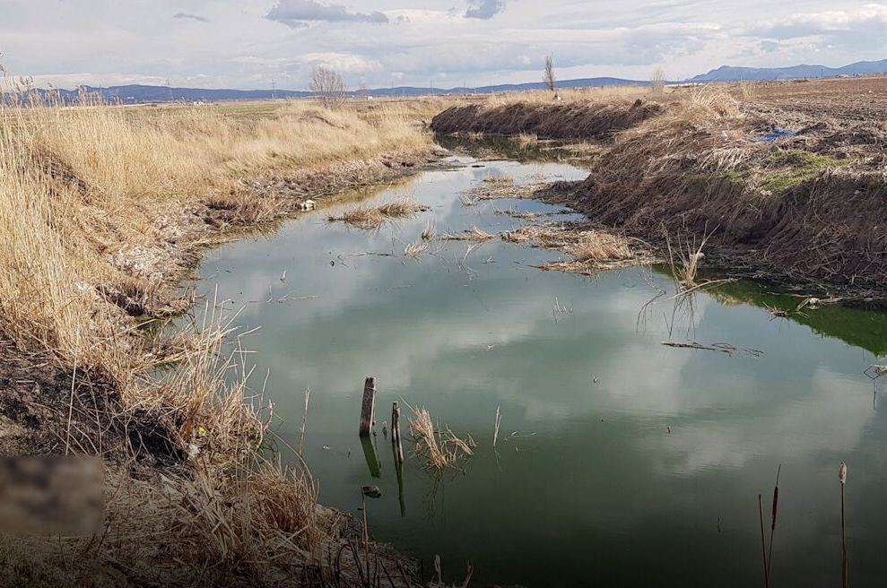 مدیریتی که با طبیعت قهر کرده؛ روایت بحران‌های خاموش کرمانشاه