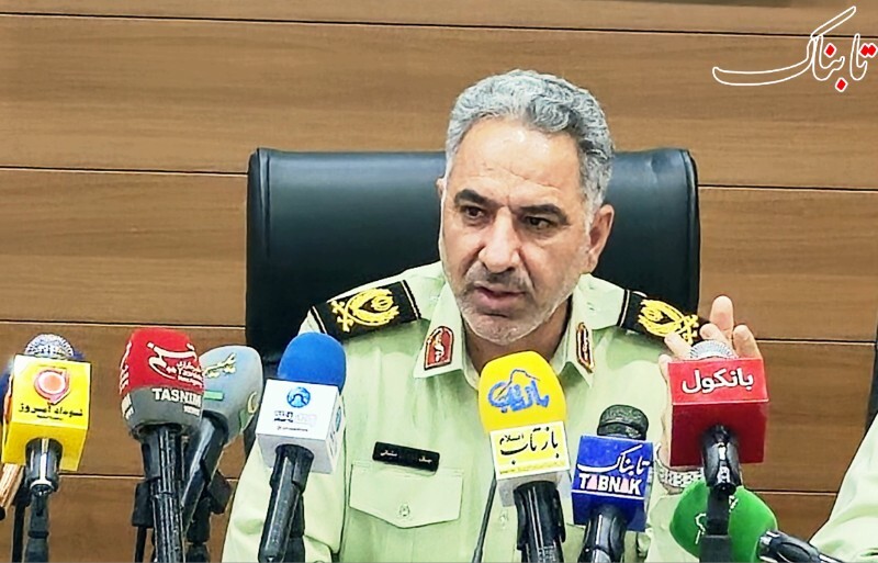 کشف ۳۴ فقره سرقت و دستگیری ۳ سارق در ایلام