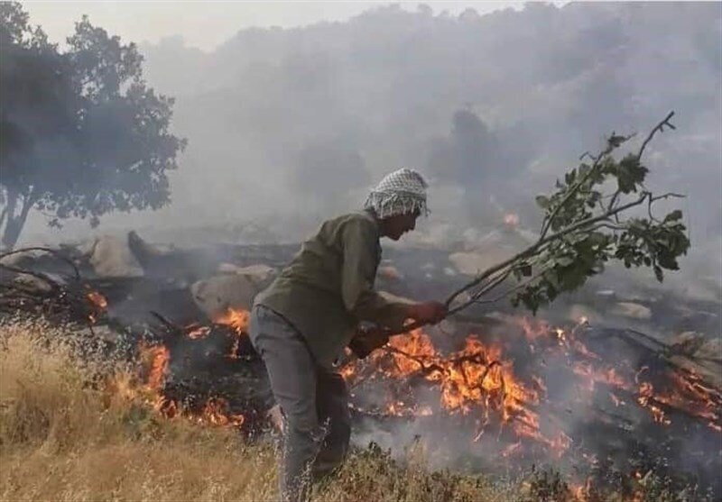 جنگلهای زاگرس دوباره سبز میشوند / کاهش ۴۹ درصدی آتشسوزیها با مشارکت مردم جنگلهای زاگرس دوباره سبز میشوند / کاهش ۴۹ درصدی آتشسوزیها با مشارکت مردم