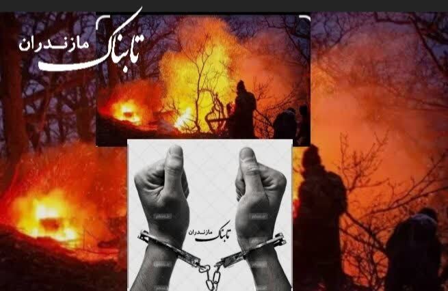 آتش‌افروز سودجو جنگل ھیرکانی بابل توسط نیروھای بسیج محلات دستگیر شد
