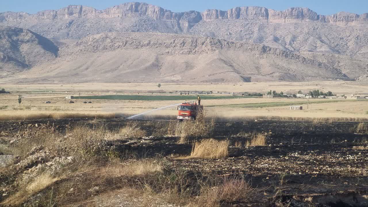 آتشسوزی در مزارع گندم گیلانغرب / ۱۸ هکتار از محصولات کشاورزی خسارت دید آتشسوزی در مزارع گندم گیلانغرب / ۱۸ هکتار از محصولات کشاورزی خسارت دید