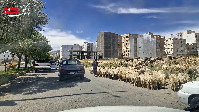 ایلام؛ روستایی در دل یک شهر/ تا کی باید منتظر تحول ماند؟ ایلام؛ روستایی در دل یک شهر/ تا کی باید منتظر تحول ماند؟