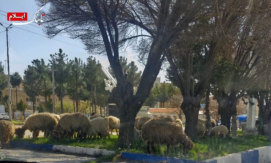 ایلام؛ روستایی در دل یک شهر/ تا کی باید منتظر تحول ماند؟ ایلام؛ روستایی در دل یک شهر/ تا کی باید منتظر تحول ماند؟
