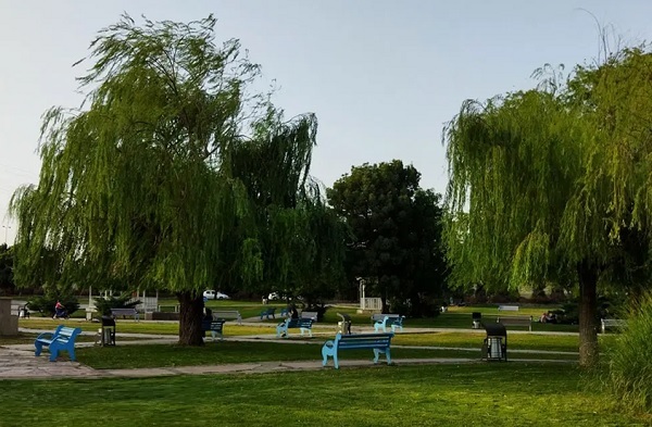 حذف علفهای هرز و ساماندهی بوستان بانوان در دستور کار شهرداری محمدیه حذف علفهای هرز و ساماندهی بوستان بانوان در دستور کار شهرداری محمدیه