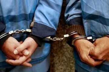 پایان فعالیت باند سرقت از منازل در محله دولت‌آباد