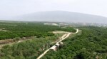 سیاب بهشت خنک کوهدشت؛ جایی میان آب، کوه و انارستان‌های زیبا